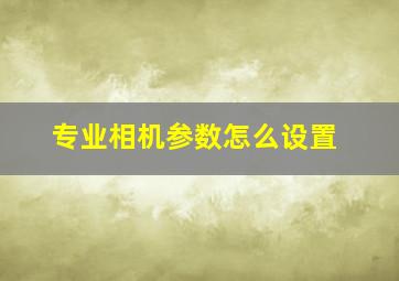 专业相机参数怎么设置