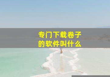 专门下载卷子的软件叫什么