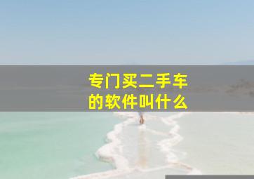 专门买二手车的软件叫什么