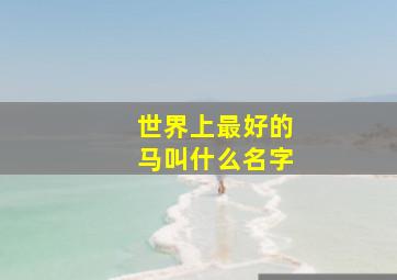 世界上最好的马叫什么名字