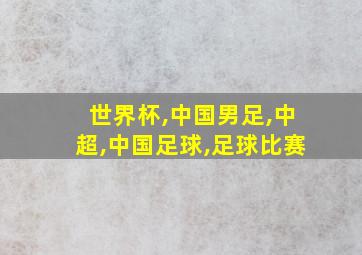 世界杯,中国男足,中超,中国足球,足球比赛