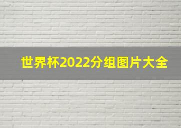 世界杯2022分组图片大全