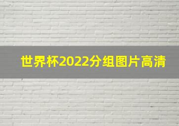 世界杯2022分组图片高清