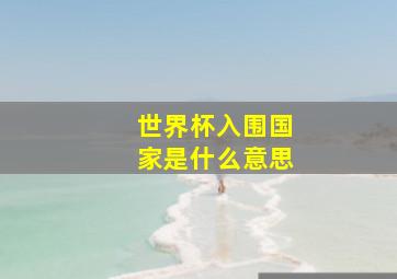 世界杯入围国家是什么意思