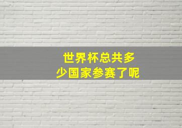 世界杯总共多少国家参赛了呢