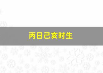 丙日己亥时生