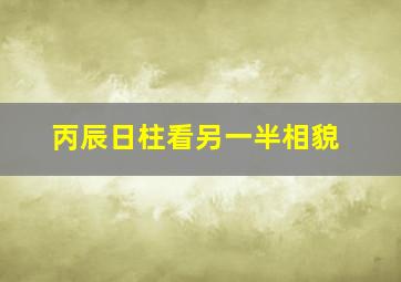 丙辰日柱看另一半相貌