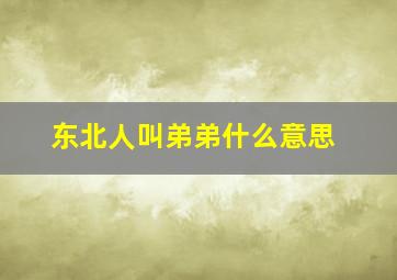 东北人叫弟弟什么意思