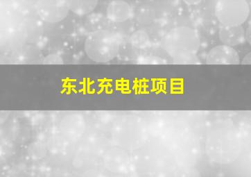 东北充电桩项目