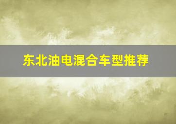 东北油电混合车型推荐