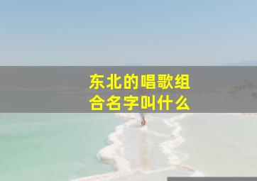 东北的唱歌组合名字叫什么