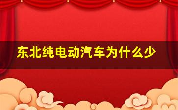 东北纯电动汽车为什么少