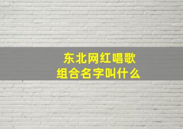 东北网红唱歌组合名字叫什么