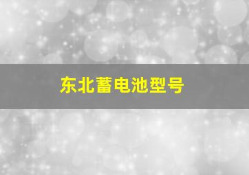 东北蓄电池型号