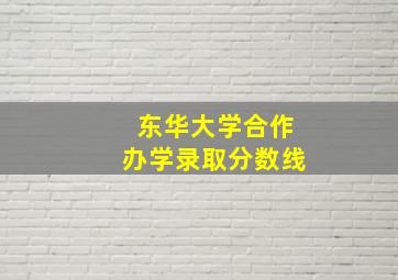 东华大学合作办学录取分数线