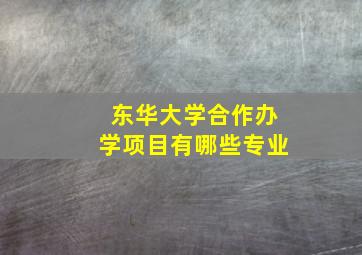 东华大学合作办学项目有哪些专业