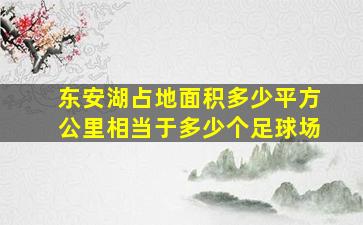 东安湖占地面积多少平方公里相当于多少个足球场