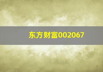 东方财富002067