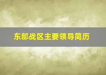 东部战区主要领导简历