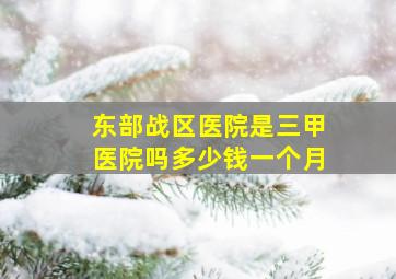 东部战区医院是三甲医院吗多少钱一个月