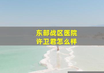 东部战区医院许卫君怎么样