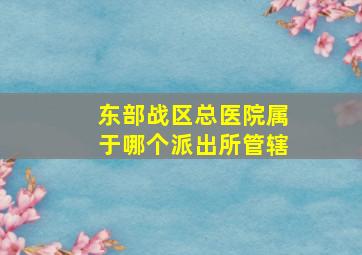 东部战区总医院属于哪个派出所管辖