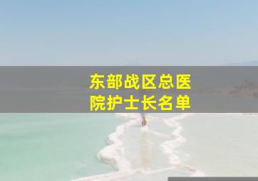 东部战区总医院护士长名单