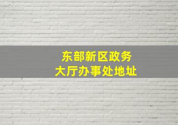 东部新区政务大厅办事处地址