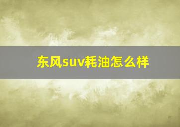 东风suv耗油怎么样