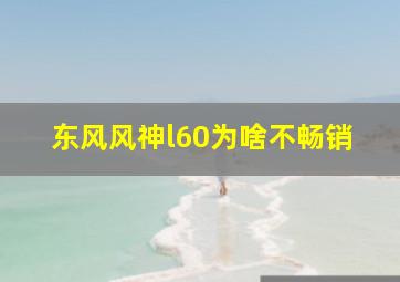 东风风神l60为啥不畅销