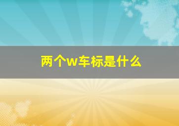 两个w车标是什么