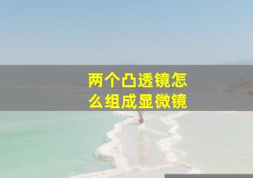 两个凸透镜怎么组成显微镜