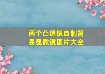 两个凸透镜自制简易显微镜图片大全