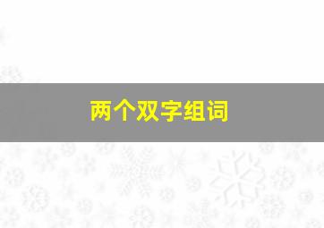 两个双字组词