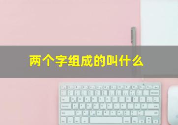 两个字组成的叫什么