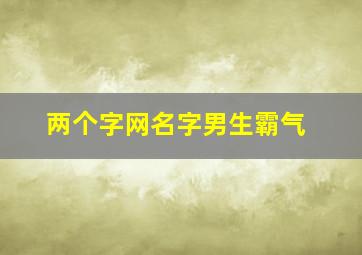 两个字网名字男生霸气