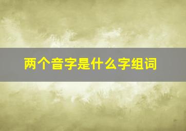 两个音字是什么字组词