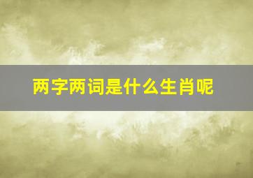 两字两词是什么生肖呢