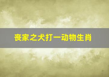 丧家之犬打一动物生肖