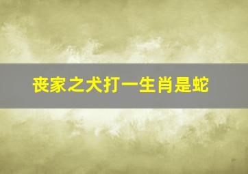 丧家之犬打一生肖是蛇