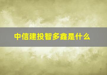 中信建投智多鑫是什么