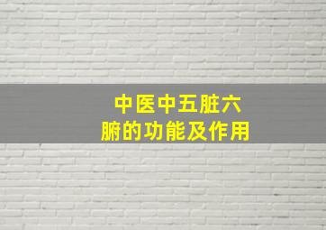 中医中五脏六腑的功能及作用