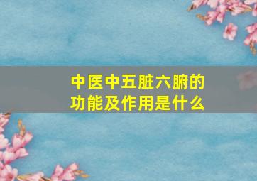 中医中五脏六腑的功能及作用是什么