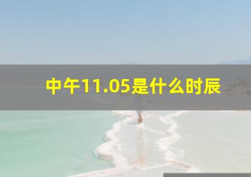 中午11.05是什么时辰