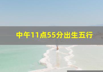 中午11点55分出生五行