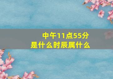 中午11点55分是什么时辰属什么