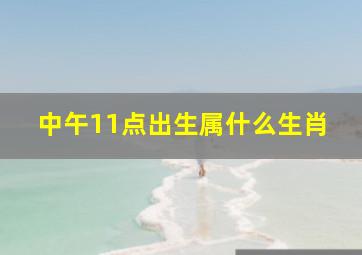 中午11点出生属什么生肖