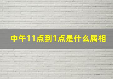 中午11点到1点是什么属相