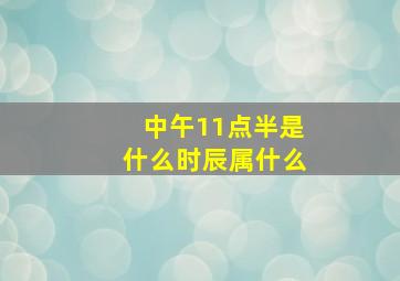 中午11点半是什么时辰属什么