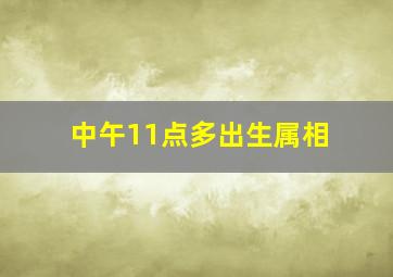 中午11点多出生属相